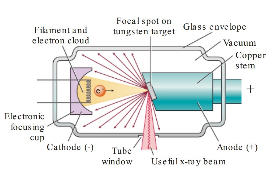 Xray Production (Xray Tube)